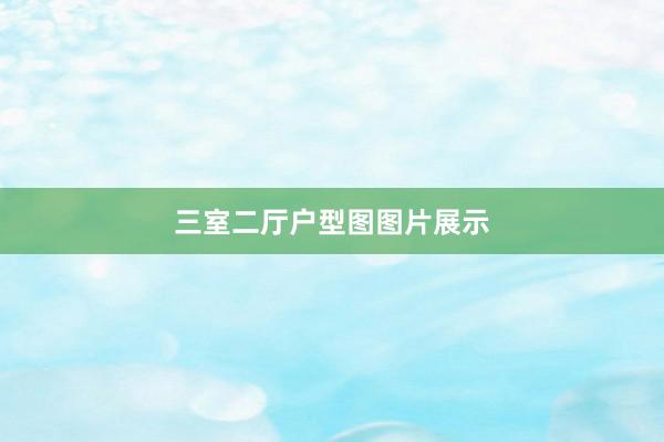 三室二厅户型图图片展示